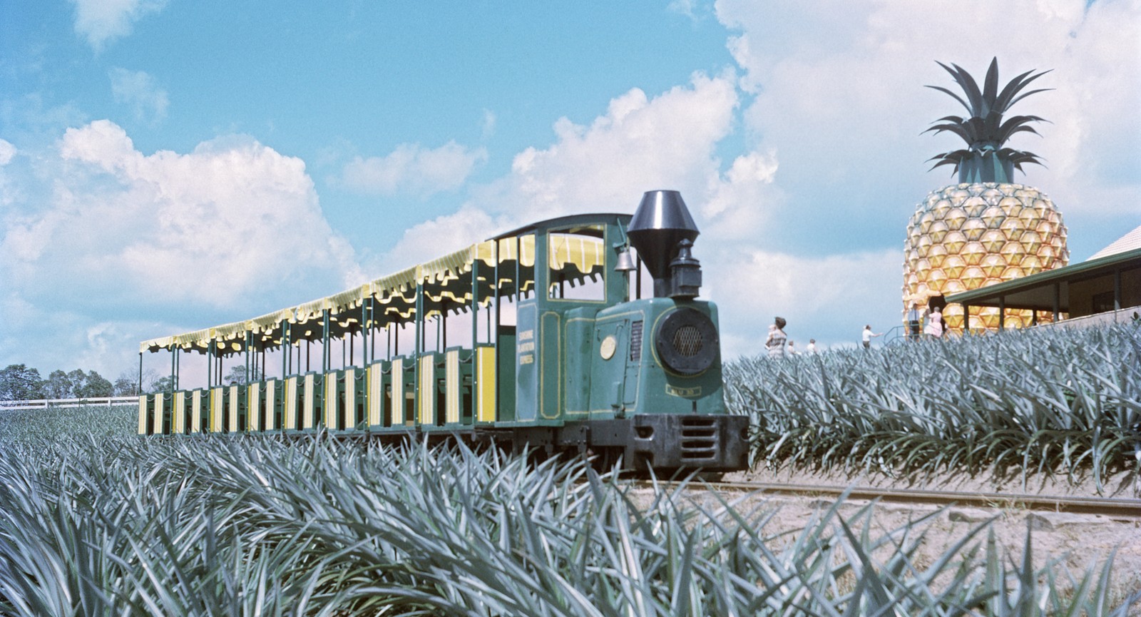 Queensland University of Technology, CC BY 4.0, via Wikimedia Commons